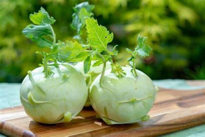 Su Hào
